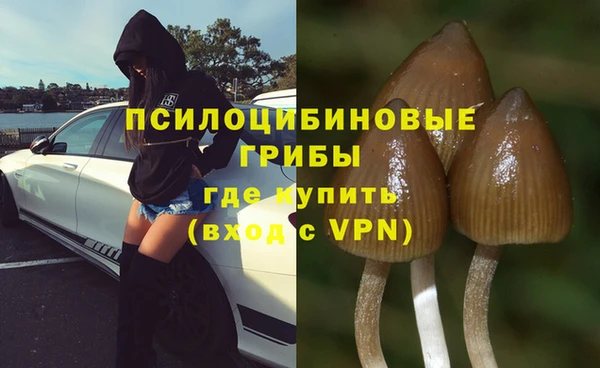 mdpv Ростов