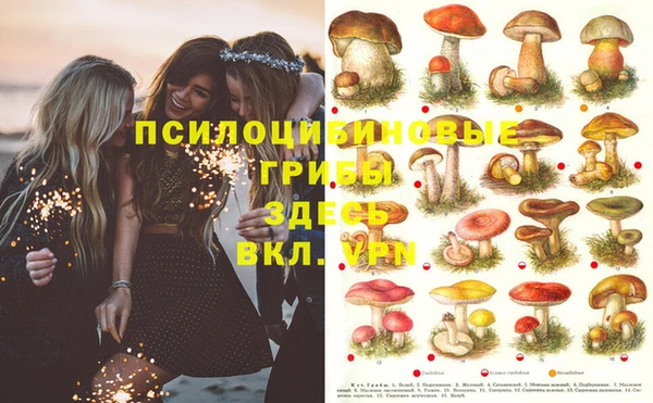 прущая мука Рославль