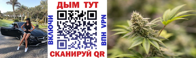 Бошки марихуана тримм  дарнет шоп  маркетплейс Telegram  Игра 